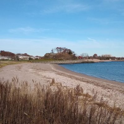 (Via UConn Today) Shoreline Restoration Project Comes Alive Through UConn’s Eco-Digital Storytellers Program